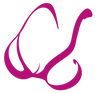 Logo de The Little Bra Company® Small Bras & Lingerie in AA, A, B, C, & D cups