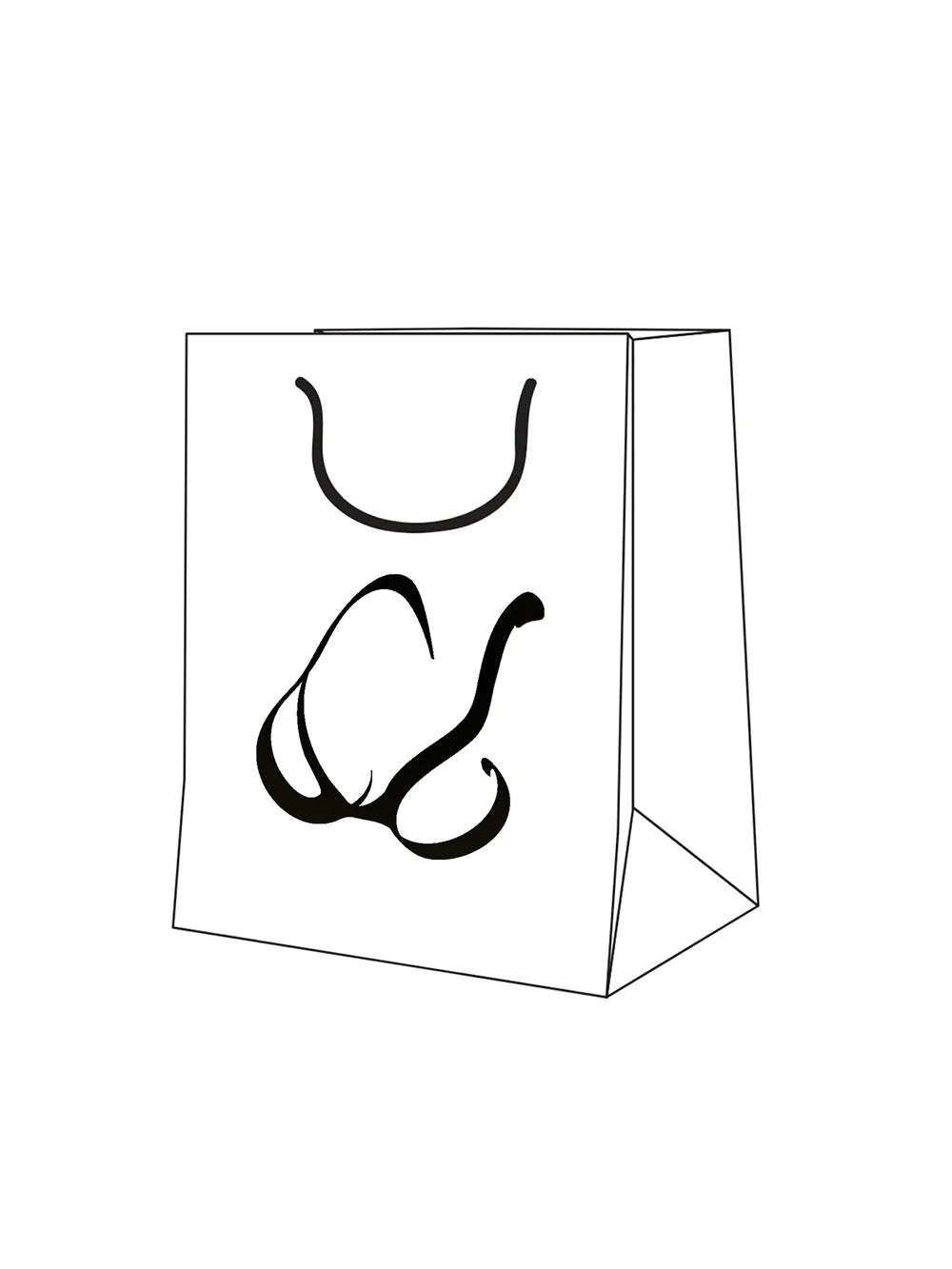 Lucky Bag (3 Bras)